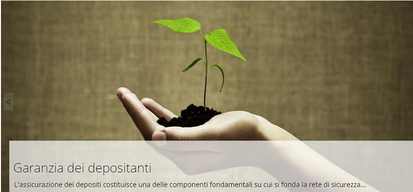 FITD: cosa garantisce?